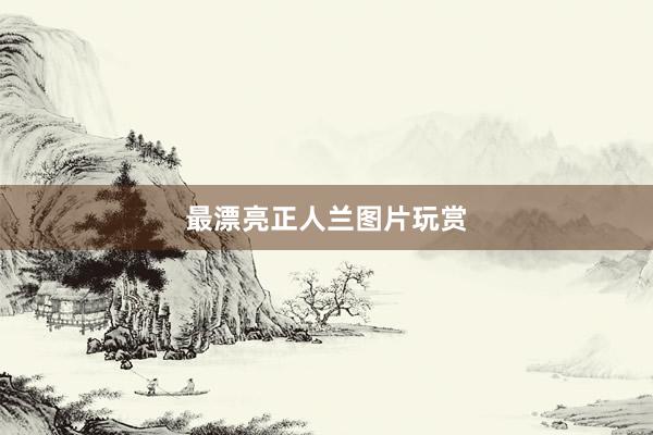 最漂亮正人兰图片玩赏